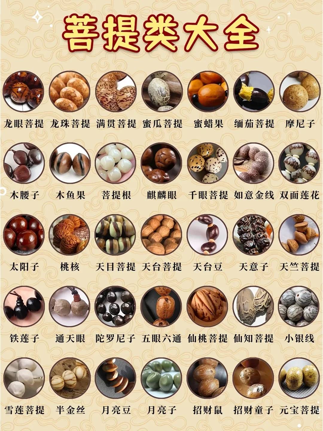 菩提子种类大全