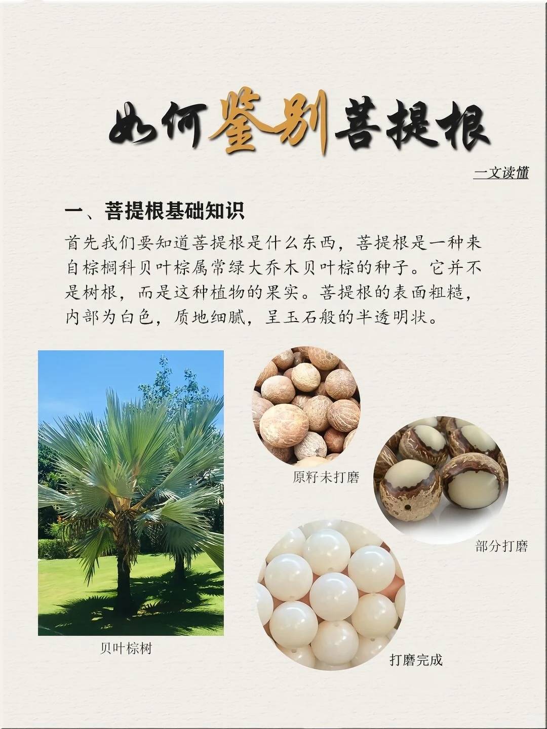 新手必看！手把手教你避坑，别再交智商税